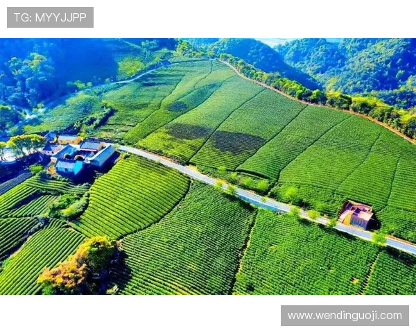 开云体育下载无法打开如何解决?专家提供多种实用方法帮助用户排除软件故障 开云体育下载无法打开如何解决?专家提供多种实用方法帮助用户排除软件故障