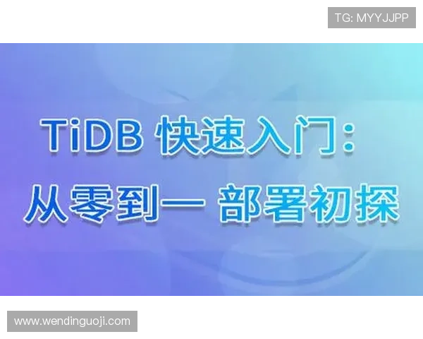 问鼎旗舰网站：从零到一打造高性能旗舰网站的完整流程与实用技巧分享