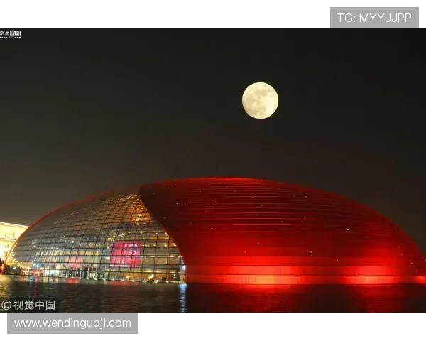 问鼎网页网址查询遇到问题怎么办？常见故障排查与解决方案详尽解析保障顺利访问官方平台